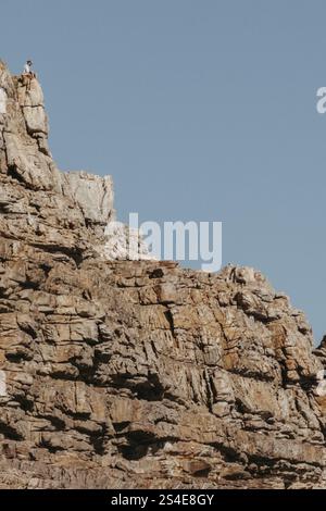 Mann sitzt auf einem Felsen am Kap der Guten Hoffnung Stockfoto