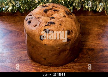 Panettone mit Schokoladenchips, Chocottone Stockfoto