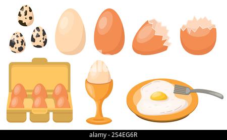 Hühnereier-Set, Wachteleier, gebraten oder roh, gebrochene Eierschalen, pochiertes Ei, Paket Eier in flacher Ausführung. Stock Vektor