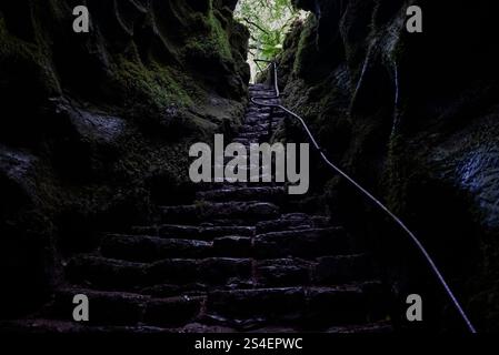 Steintreppen mit moosbedeckten Felswänden und einem Handlauf aus Metall führen den Weg zur Pigeon Hole Cave in der Nähe von Cong, Irland Stockfoto