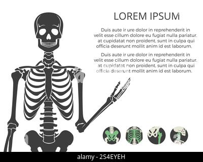 Medizinisches Poster oder Banner mit menschlichem Skelett und Knochen. Vektorabbildung. Medizinisches Poster oder Banner mit menschlichem Skelett und Knochen Stock Vektor
