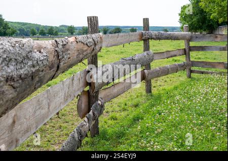 Horizontaler Holzzaun für Rinder aus rauen Holzdielen. Stockfoto
