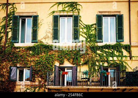 Balkone voller Blumen und Grün schmücken Häuser und Straßen in Rom, Italien Stockfoto