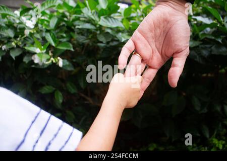 Asiatisches Baby Hände auf Vaterhand Stockfoto