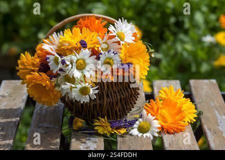 Schöne frische Sommerblumen im Korb auf dem Tisch im Garten Stockfoto