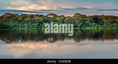 Blick auf den Añangu-See oder die Lagune mit Dschungeldach, das sich in der Abenddämmerung im Wasser spiegelt, Amazonas-Regenwald, Yasuni-Nationalpark, Ecuador, Südamerika Stockfoto