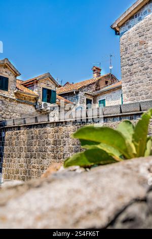 Ein charmantes traditionelles Steinhaus in Kotor, Montenegro, mit rustikaler Architektur mit einer lebendigen grünen Tür und Blumenakzenten Stockfoto