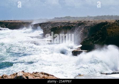 Majestätische Wellen krachen gegen die zerklüfteten Klippen von Barbados und zeigen die raue Kraft und Schönheit des Ozeans Stockfoto