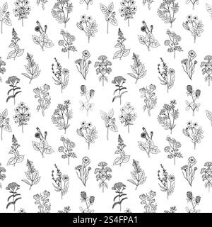 Nahtloses Muster verschiedener handgezeichneter Kräuter und Blumen. Hintergrund in Schwarz-weiß-Farben. Grafikstil. Vektorabbildung. Nahtloses Muster verschiedener handgezeichneter Kräuter und Blumen. Hintergrund in Schwarz-weiß-Farben. Grafikstil Stock Vektor