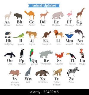 Englisches Vektor-Alphabet für Kinder mit niedlichen Wildtieren in der Nähe von Buchstaben. Alphabet Tiere Flamingo und Giraffe, Igel und Leguan, jaguar und Känguru Illustration. Englisches Vektor-Alphabet für Kinder mit niedlichen Wildtieren in der Nähe von Buchstaben Stock Vektor