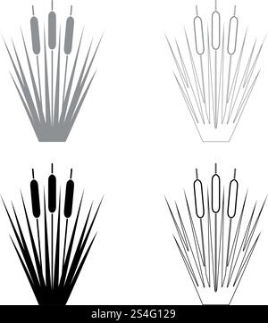 Reed Rohrkolben Schilf Verein - rush ling Zuckerrohr rush Icon Set schwarz Grau Farbe Vektor-illustration Flat Style simple Image Stock Vektor