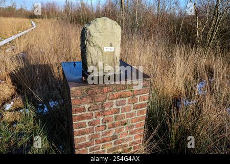 Alter Schmugglerpfad im Grenzgebiet Deutschland Niederlande: Bohlenweg entlang der deutsch-niederländischen Staatsgrenze im Burlo-Vardingholter Venn und Wooldse Veen. Der Grenzverlauf ist seit 1764 verbindlich geregelt und durch Fürstensteine aus Bentheimer Sandstein markiert. Seit 1937 war das Naturschutzgebiet Burlo-Vardingholter Venn. DEU, Deutschland, Nordrhein-Westfalen, Borken // NDL, Niederlande, Gelderland, Winterswijk 10.01.2025 *** Alter Schmugglerweg im Grenzgebiet Deutschland Niederlande Plankweg entlang der deutsch-niederländischen Staatsgrenze im Burlo Vardingholter Venn und Wooldse Vee Stockfoto