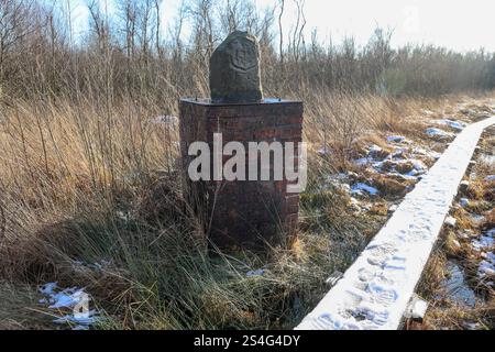 Alter Schmugglerpfad im Grenzgebiet Deutschland Niederlande: Bohlenweg entlang der deutsch-niederländischen Staatsgrenze im Burlo-Vardingholter Venn und Wooldse Veen. Der Grenzverlauf ist seit 1764 verbindlich geregelt und durch Fürstensteine aus Bentheimer Sandstein markiert. Seit 1937 war das Naturschutzgebiet Burlo-Vardingholter Venn. DEU, Deutschland, Nordrhein-Westfalen, Borken // NDL, Niederlande, Gelderland, Winterswijk 10.01.2025 *** Alter Schmugglerweg im Grenzgebiet Deutschland Niederlande Plankweg entlang der deutsch-niederländischen Staatsgrenze im Burlo Vardingholter Venn und Wooldse Vee Stockfoto