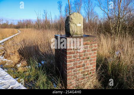 Alter Schmugglerpfad im Grenzgebiet Deutschland Niederlande: Bohlenweg entlang der deutsch-niederländischen Staatsgrenze im Burlo-Vardingholter Venn und Wooldse Veen. Der Grenzverlauf ist seit 1764 verbindlich geregelt und durch Fürstensteine aus Bentheimer Sandstein markiert. Seit 1937 war das Naturschutzgebiet Burlo-Vardingholter Venn. DEU, Deutschland, Nordrhein-Westfalen, Borken // NDL, Niederlande, Gelderland, Winterswijk 10.01.2025 Stockfoto