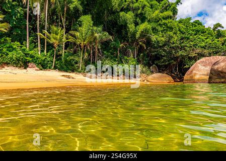 Begegnung zwischen erhaltenem tropischem Wald, Strandsand und Meer in Ilha Grande an der Südküste von Rio de Janeiro Stockfoto