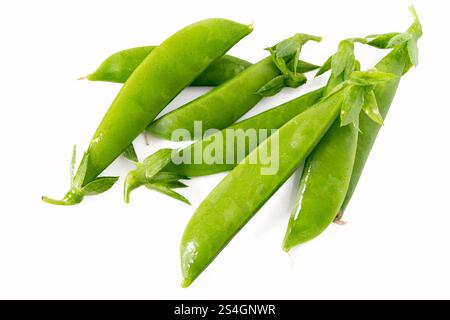 Zuckererbsen auf weißem Hintergrund. Stockfoto