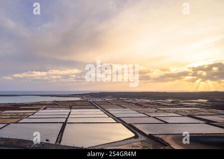 Meersalzproduktion auf der Vulkaninsel Lanzarote bei den Salinas de Janubio, Lanzarote, Kanarischen Inseln, Spanien Stockfoto