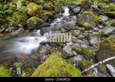 Wasser fließt über Felsen in der Natur. Stockfoto