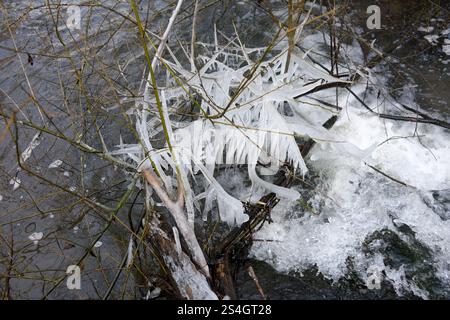 Coalbrookdale, Shropshire. Januar 2024. Die Eiszapfenkunst von Mutter Natur. Frostwasserspray aus Lightmoor Brook erzeugt eine natürliche Eiskulisse. David Bagnall/Alamy Live News Stockfoto