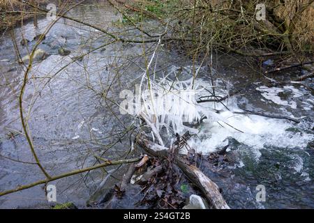 Coalbrookdale, Shropshire. Januar 2024. Die Eiszapfenkunst von Mutter Natur. Frostwasserspray aus Lightmoor Brook erzeugt eine natürliche Eiskulisse. David Bagnall/Alamy Live News Stockfoto