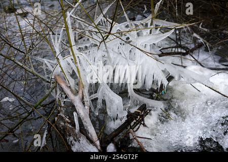 Coalbrookdale, Shropshire. Januar 2024. Die Eiszapfenkunst von Mutter Natur. Frostwasserspray aus Lightmoor Brook erzeugt eine natürliche Eiskulisse. David Bagnall/Alamy Live News Stockfoto