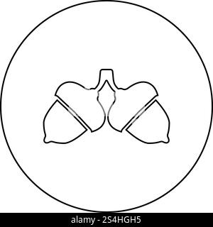 Zwei acorn Symbol im Kreis runde Kontur schwarz Vector Illustration Flat Style simple Image Stock Vektor