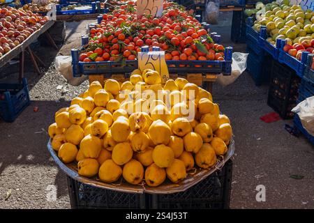 Ein Haufen gelber Zitronen sitzt auf einem Tisch vor einem Obststand. Die Zitronen sind hoch gestapelt, und es gibt auch mehrere andere Früchte. T Stockfoto