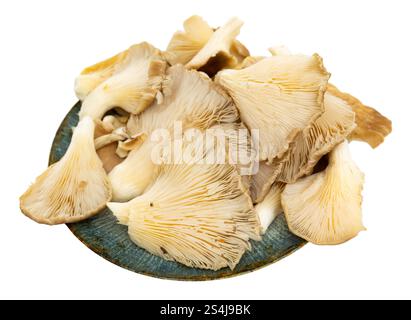 Es gibt einen Haufen roher Austernpilze auf dem Schneidebrett. Stockfoto