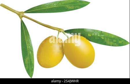 Symbol für Olivenzweig. Realistische Illustration des Vektorsymbols für einen Zweig von Oliven für das Webdesign. Symbol der Olivenzweige, realistischer Stil Stock Vektor