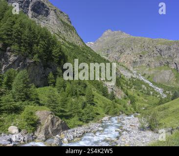 Tal der Romanche mit dem gleichnamigen Fluss, Villar-d'Arene, Departement Hautes-Alpes, Frankreich, Europa Stockfoto