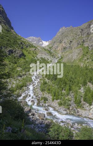 Ein Gletscherbach mündet in das Tal der Romantischen, Villar-d'Arene, Departement Hautes-Alpes, Frankreich, Europa Stockfoto