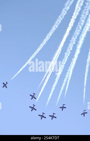 Das kanadische Kunstflugteam der Canadian Forces Snowbirds aus Kanada auf der Canadian International Air Show in Toronto Stockfoto