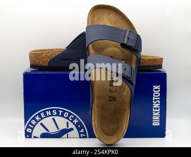 Bologna - Italien - 12. Januar 2025: Paar marineblaue Birkenstock Arizona Sandalen mit Korksohlen isoliert auf weißem Hintergrund. Stockfoto