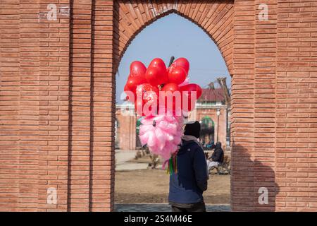 Srinagar, Indien. Januar 2025. Ein nicht einheimischer Mann sah, wie er an einem kalten Wintertag in der Nähe eines Parks Ballons verkaufte. (Foto: Faisal Bashir/SOPA Images/SIPA USA) Credit: SIPA USA/Alamy Live News Stockfoto