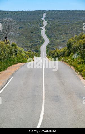 Kurvenreiche Straße durch die australische Landschaft, cape du couedic South Australia, Reise Reise Roadtrip, Porträt Stockfoto