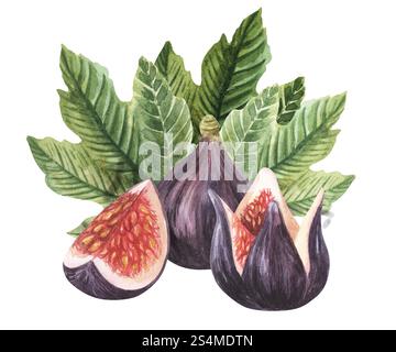 Aquarellfeige Blumenstrauß Illustration, Anordnung, Kranz, Rahmen, Kinderzimmer Dekor, Thanksgiving Karte, sparen Sie sich das Date, Babydusche. Isoliert auf weiß Stockfoto