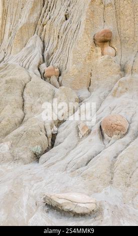 Detaillierte Ansicht erodierter Tonformationen mit einzigartigen Kanonenkugeln im Theodore Roosevelt National Park, North Unit, North Dakota, Showcas Stockfoto