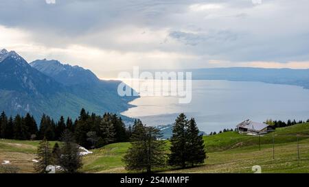 Ein ruhiger Blick auf den Genfer See, umgeben von sanften Hügeln und Bäumen, bricht das Sonnenlicht durch die Wolken und wirft goldene Reflexe auf dem Wasser Stockfoto