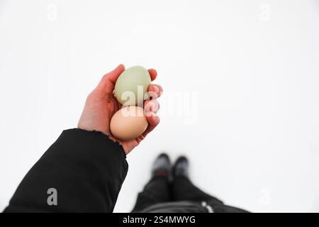 Eine Hand, die zwei frische Hühnereier im Schnee hält Stockfoto