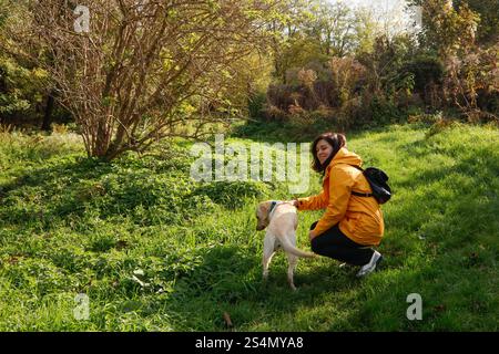 Frau in gelber Jacke, die sich mit ihrem labrador im Wald verbindet Stockfoto