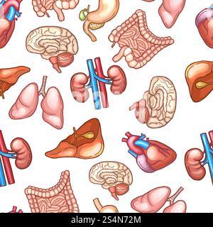 Nahtloses Muster mit verschiedenen menschlichen Organen. Menschliches medizinisches Anatomiemuster, Gesundheit Leber und Niere. Vektorabbildung. Nahtloses Muster mit verschiedenen menschlichen Organen Stock Vektor