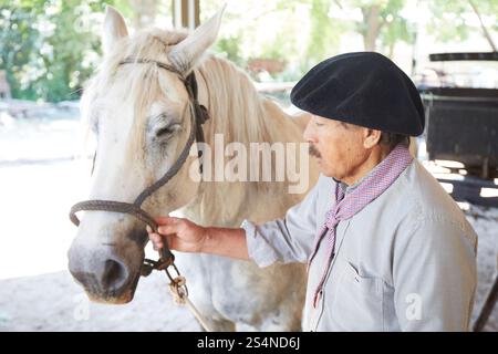 Ein Gaucho mit seinem Pferd in der Estancia El Ombu, San Antonio de Areco, Provinz Buenos Aires, Argentinien. Stockfoto