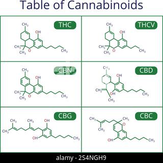 Cannabis-Skelett-cbd-Formel. Marihuana-Moleküle Vektorset. Cannabisformel molekulare, chemische Struktur Cannabinoid-Illustration. Cannabis-Skelett-cbd-Formel. Marihuana-Moleküle Vektorset Stock Vektor