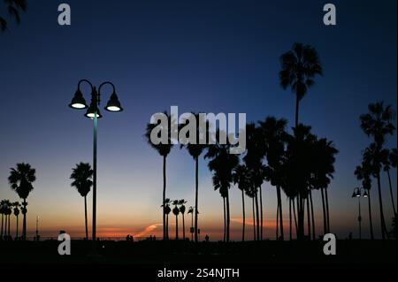 Sonnenuntergang mit Palmen am Venice Beach, Los Angeles, Kalifornien, USA Stockfoto