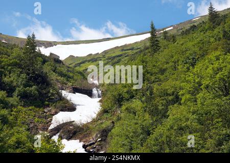 den Rest des Schnees auf Sommer Berg Auftauen Stockfoto