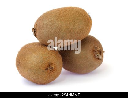 Gruppe von Kiwis isoliert auf weißem Hintergrund Stockfoto