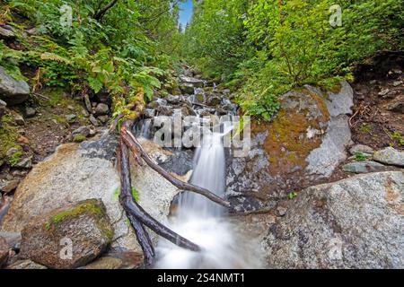 Kleiner Wasserfall mit langer Exposition, der einen seidigen Wassereffekt in üppig grünen Wäldern am Tag erzeugt Stockfoto