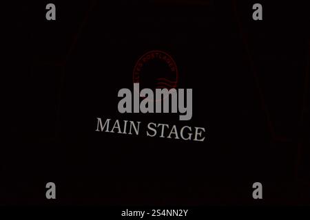 Mainz, Deutschland. Januar 2025. Bundeswirtschaftsminister Robert Habeck (Bündnis 90/die Grünen) steht bei einer Wahlkampagne auf der Bühne. Stockfoto