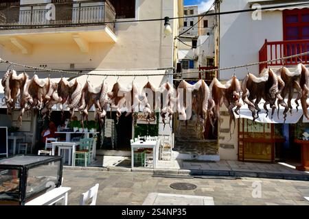 Paros Island, Griechenland - 20. September 2024: Frisch gefangener Tintenfisch hing vor Restaurants in der Hafenstadt Naousa Stockfoto