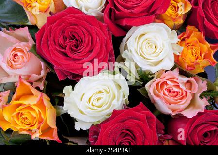 Rosenstrauss unterschiedliche viele farbige hautnah Stockfoto